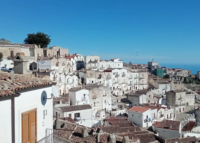 Mikiami Semplicemente Accogliente *